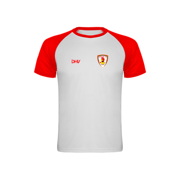 ARSENAL 72 CAMISOLA TREINO