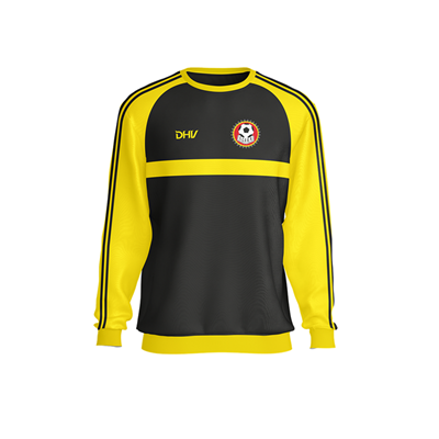 BREJOS SWEAT SEM CAPUZ (TREINADOR)