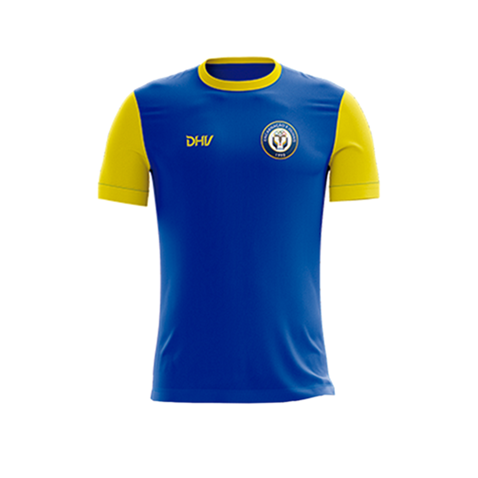 ADCEO CAMISOLA TREINO (AZUL E AMARELO)