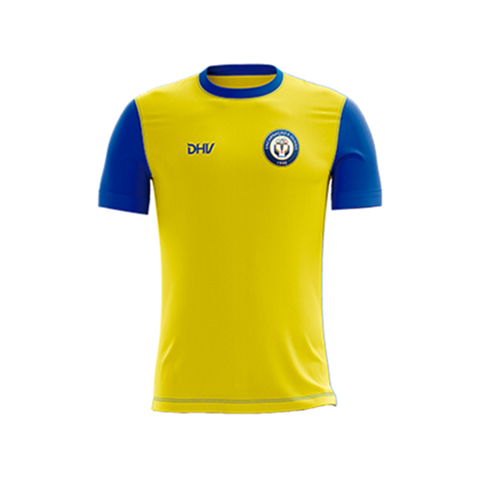 ADCEO CAMISOLA TREINO (AMARELO E AZUL)